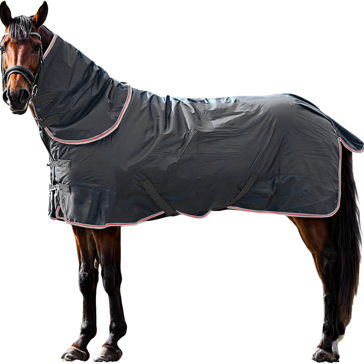 Physical full-neck horse rug product sample