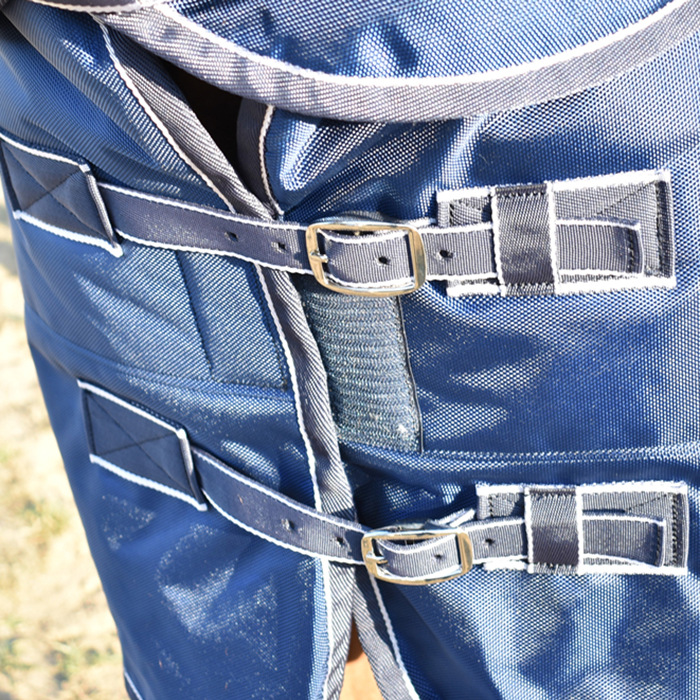 Buckle and webbing on physical full-neck horse rug